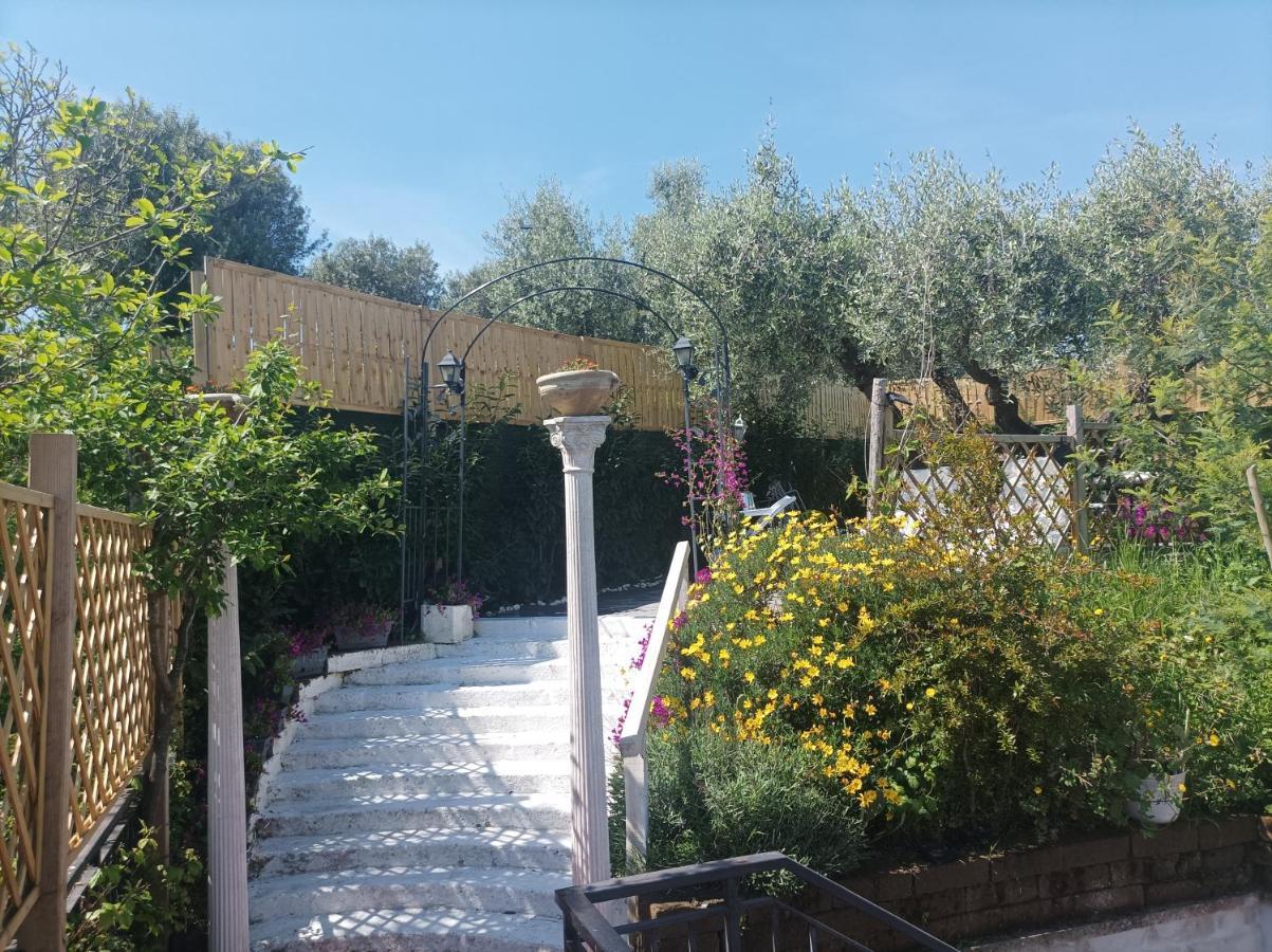 Homart Roof King Guest house *