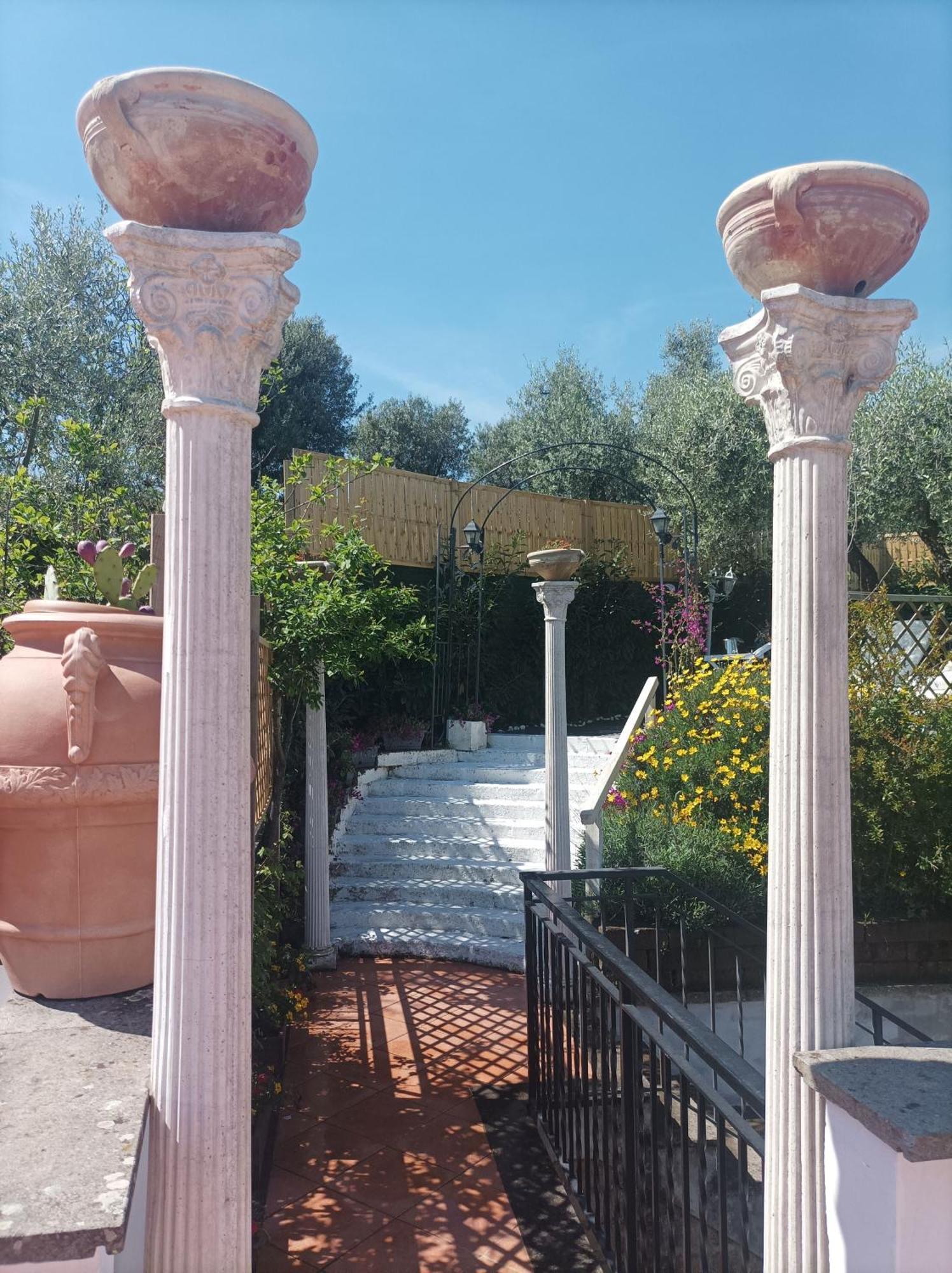 Homart Roof King Affittacamere
